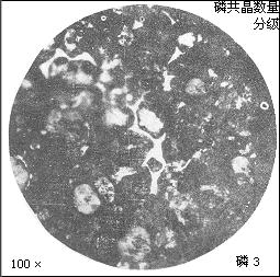 HT250金相组织中磷共晶数量图谱分析