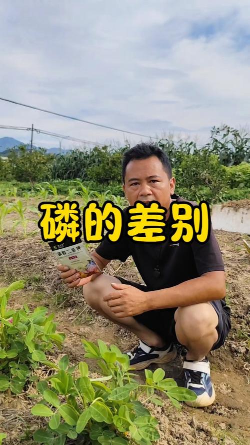 磷酸二氢钾中的磷和复合肥中的磷有什么区别?