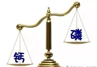 高磷血症知多少